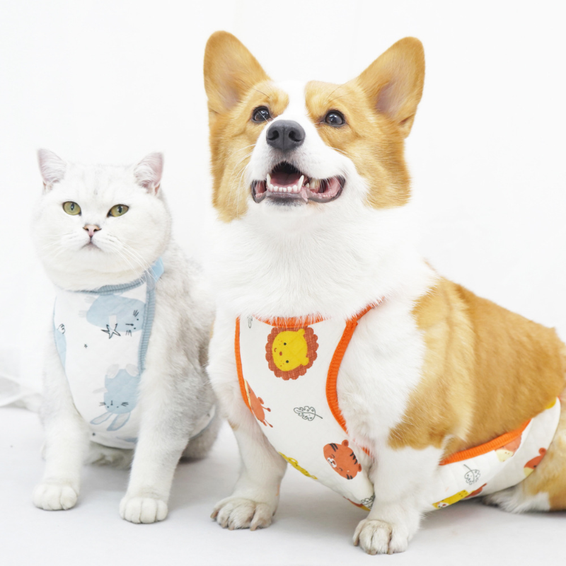 PG Pet Costume PS123006