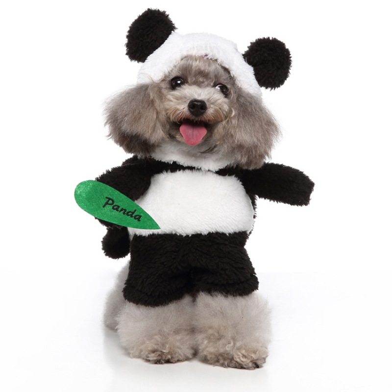 PG Pet Costume PS123020